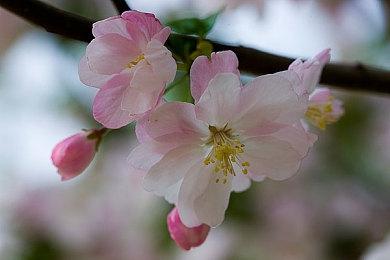 《RELICS The recur of “ORIGIN”》确定复刻 经典游戏合集